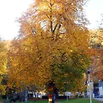 Hotel La Des Roses 3*