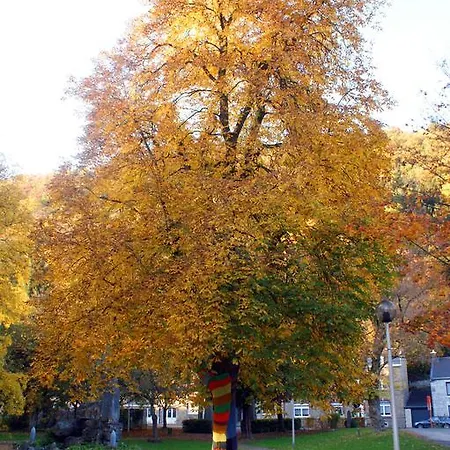 Hotel La Des Roses 3*