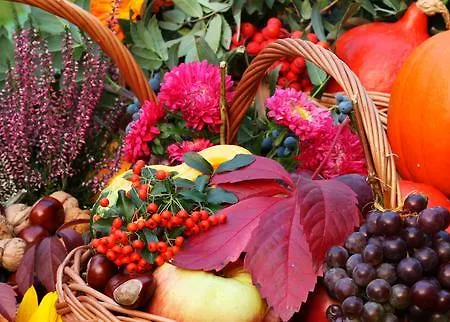 Hotel La Des Roses 3*