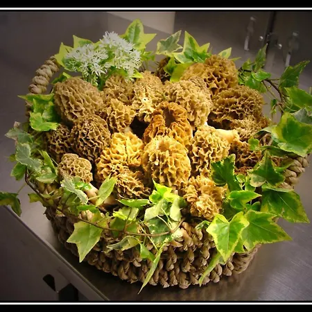 La Des Roses Aywaille