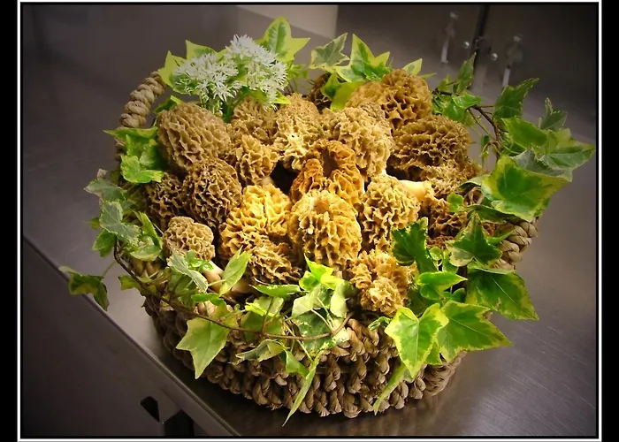 La Des Roses Aywaille